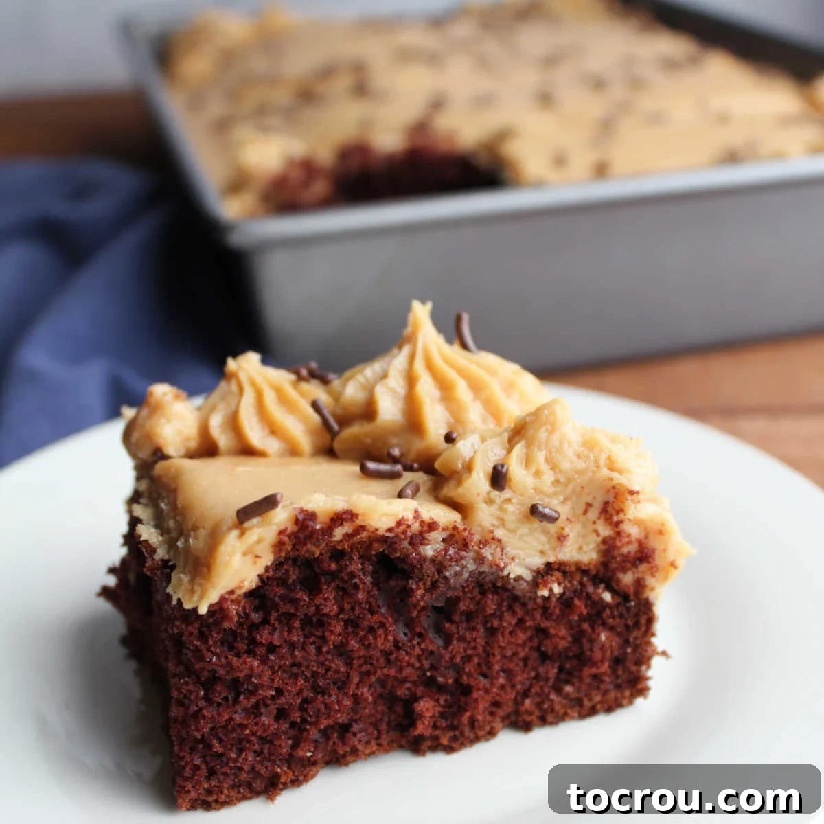 Piece of chocolate cake topped with peanut butter cream cheese frosting and chocolate sprinkles.