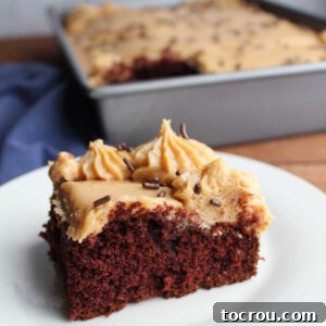 Piece of chocolate cake topped with peanut butter cream cheese frosting and chocolate sprinkles.