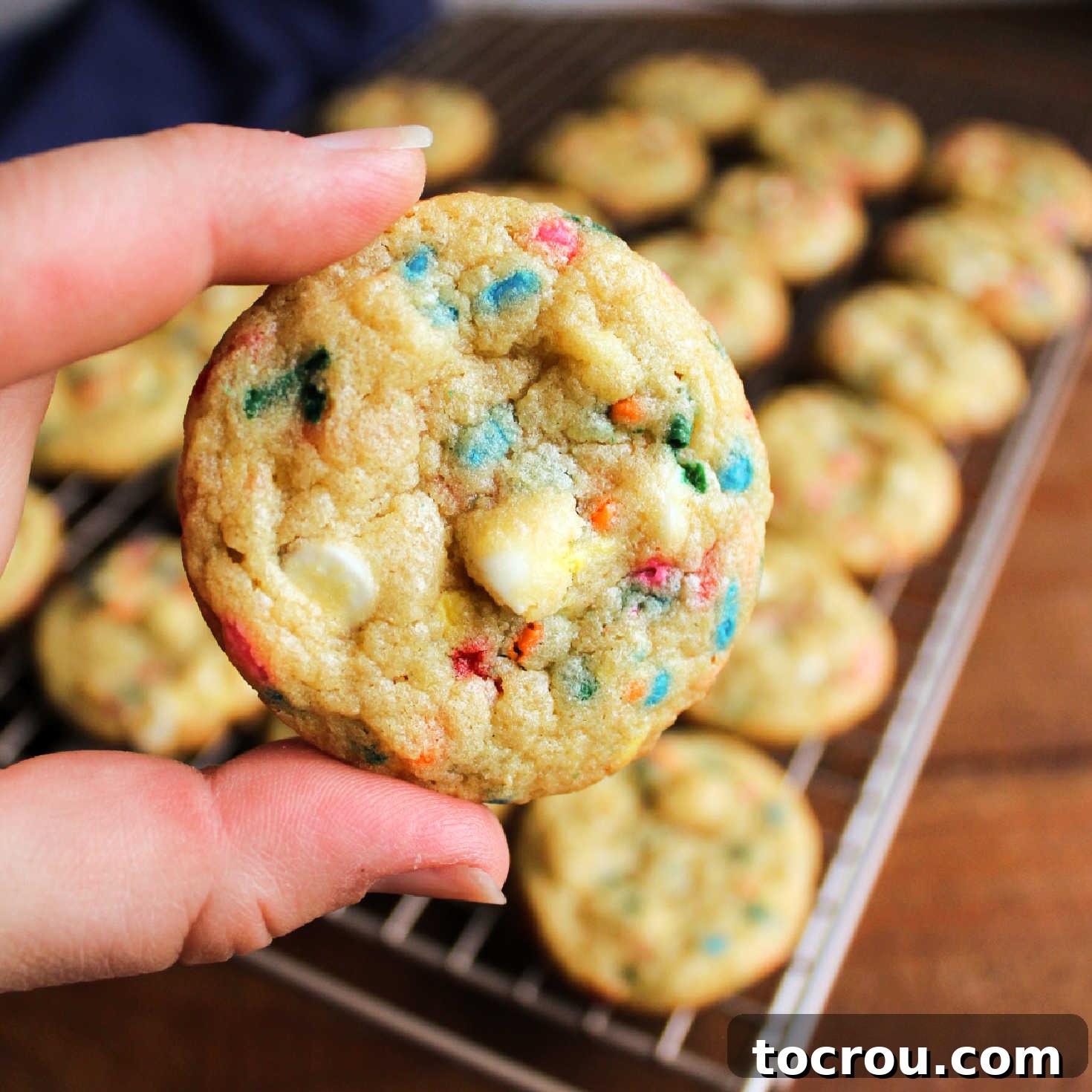 Chewy Cookie with White Chocolate Chips and Sprinkles Hand holding chewy cookie with white chocolate chips and colorful sprinkles in it showing the texture and colors.