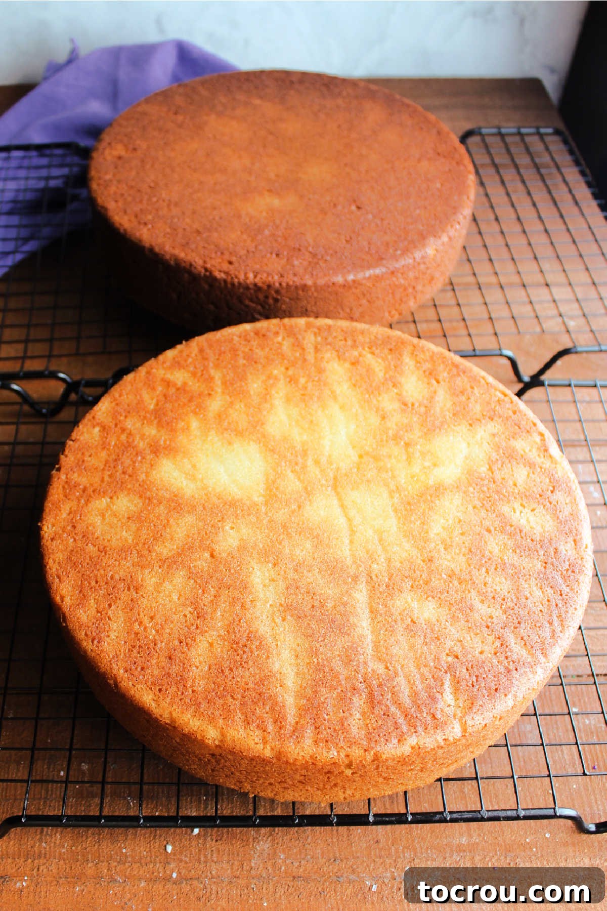 The 10-Inch Vanilla Classic 10 Baked vanilla cakes cooling on wire racks showing golden brown exterior.