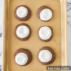 Tray of finished cookies with gooey marshmallows baked on top fresh from the oven.