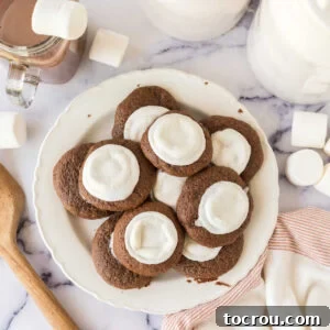 Plate of hot chocolate cookies with melted marshmallows baked onto the top of a soft chocolate cookie.