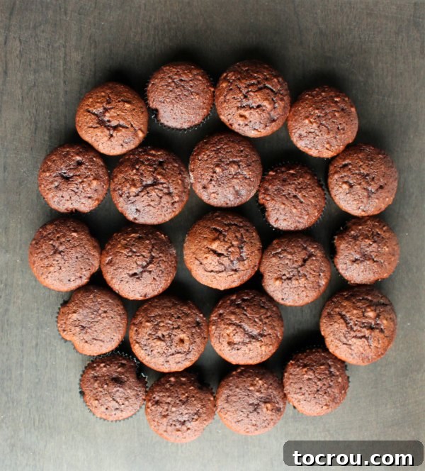 Circle of chocolate cupcakes ready to be frosted and made into   a cupcake cake.