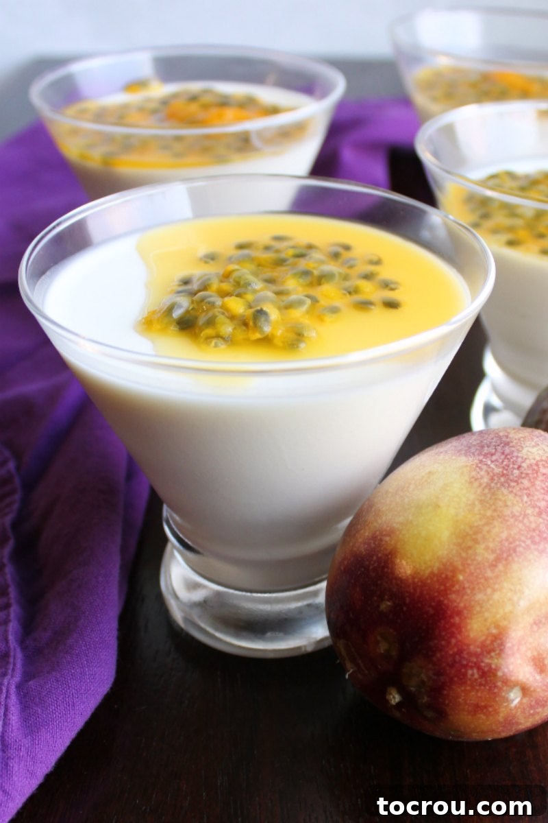Panna Cotta in Martini Glasses with Passion Fruit martini glasses filled with creamy white panna cotta and topped with yellow passion fruit.