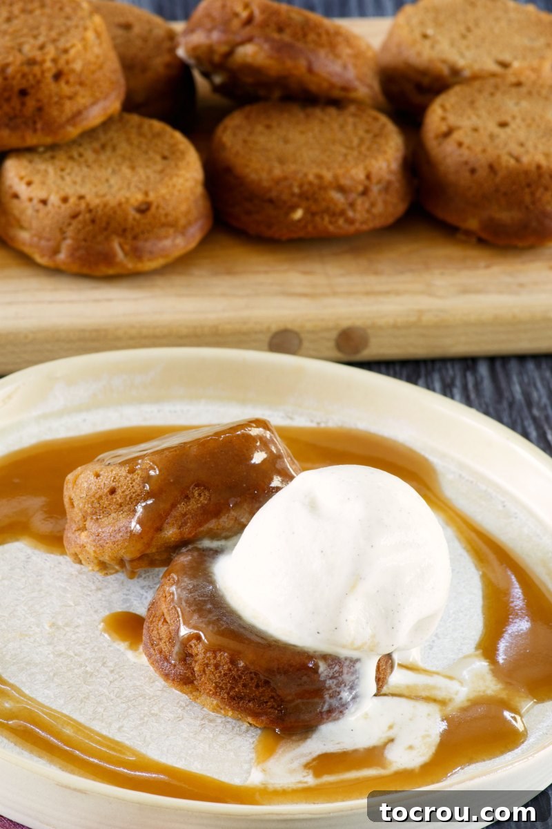 plate of sweet potato baby cakes with ice cream and caramel sauce. A pristine plate showcasing multiple mini sweet potato cakes, each adorned with a scoop of ice cream and a generous amount of sticky caramel sauce.