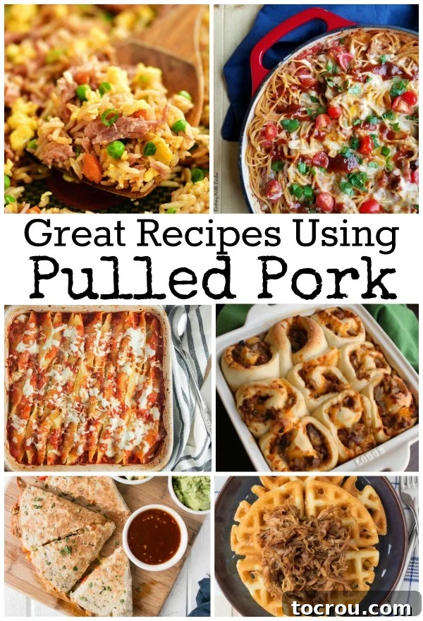 Pulled pork is a fabulous economical way to feed a crowd, but there is almost always leftovers. Here are some great recipes to turn those leftovers into whole new meals!