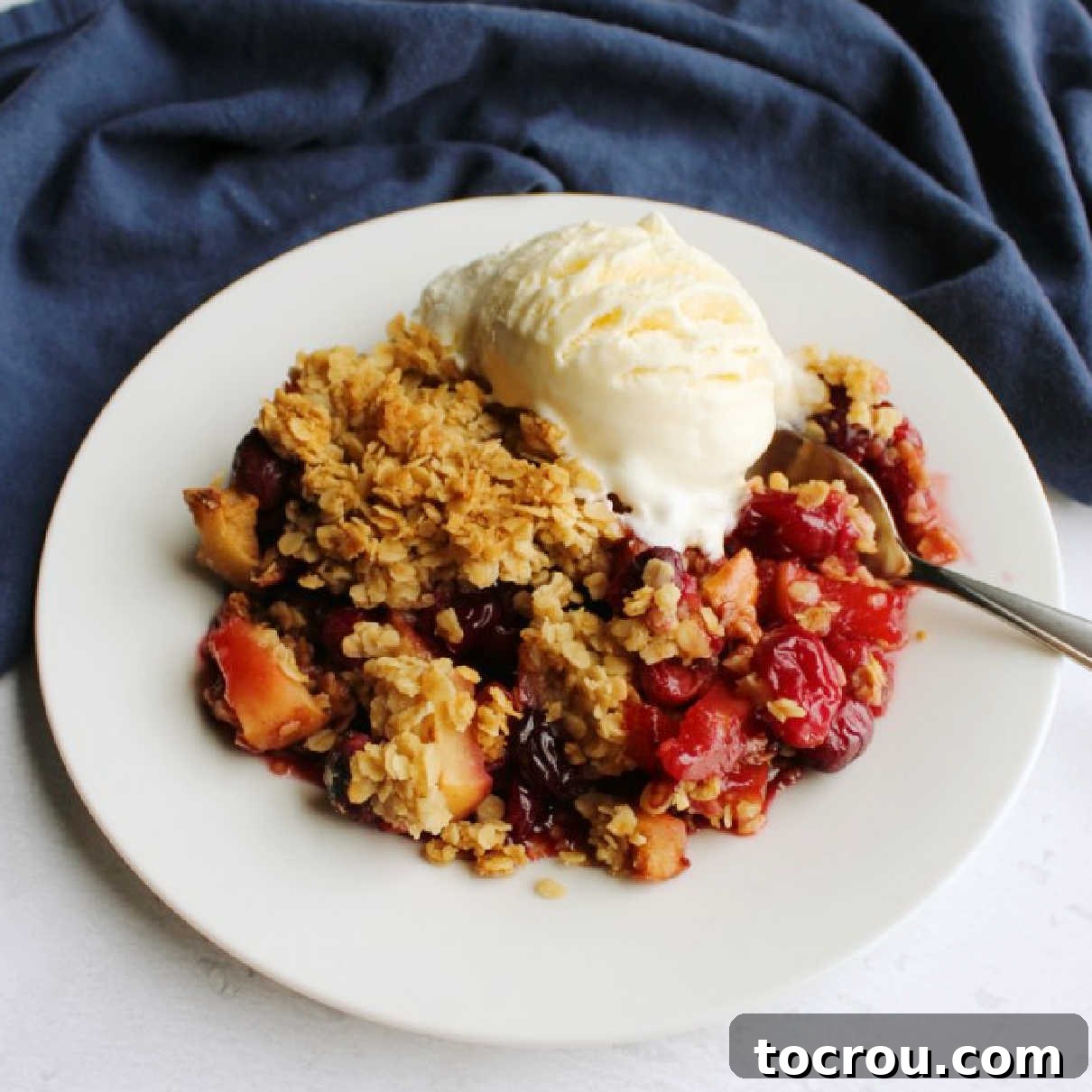 Dessert plate filled with cranberry apple crisp topped with golden oat topping and a melty scoop of vanilla ice cream.