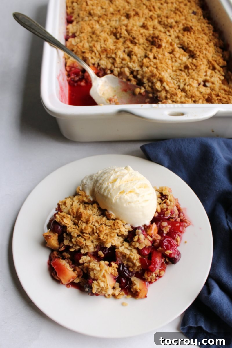 serving of crimson cranberry apple crisp with golden oat topping and scoop of vanilla ice cream