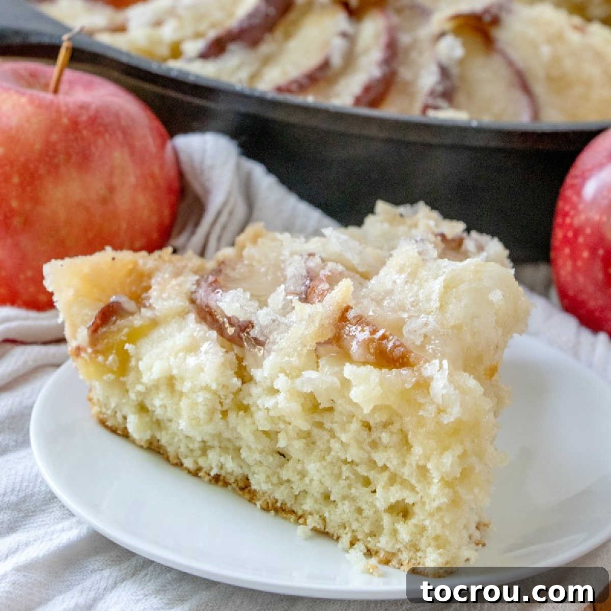 A perfect slice of homemade Dutch Apple Cake, showcasing its golden streusel and tender apple layers. Slice of streusel topped apple coffee cake ready to eat.