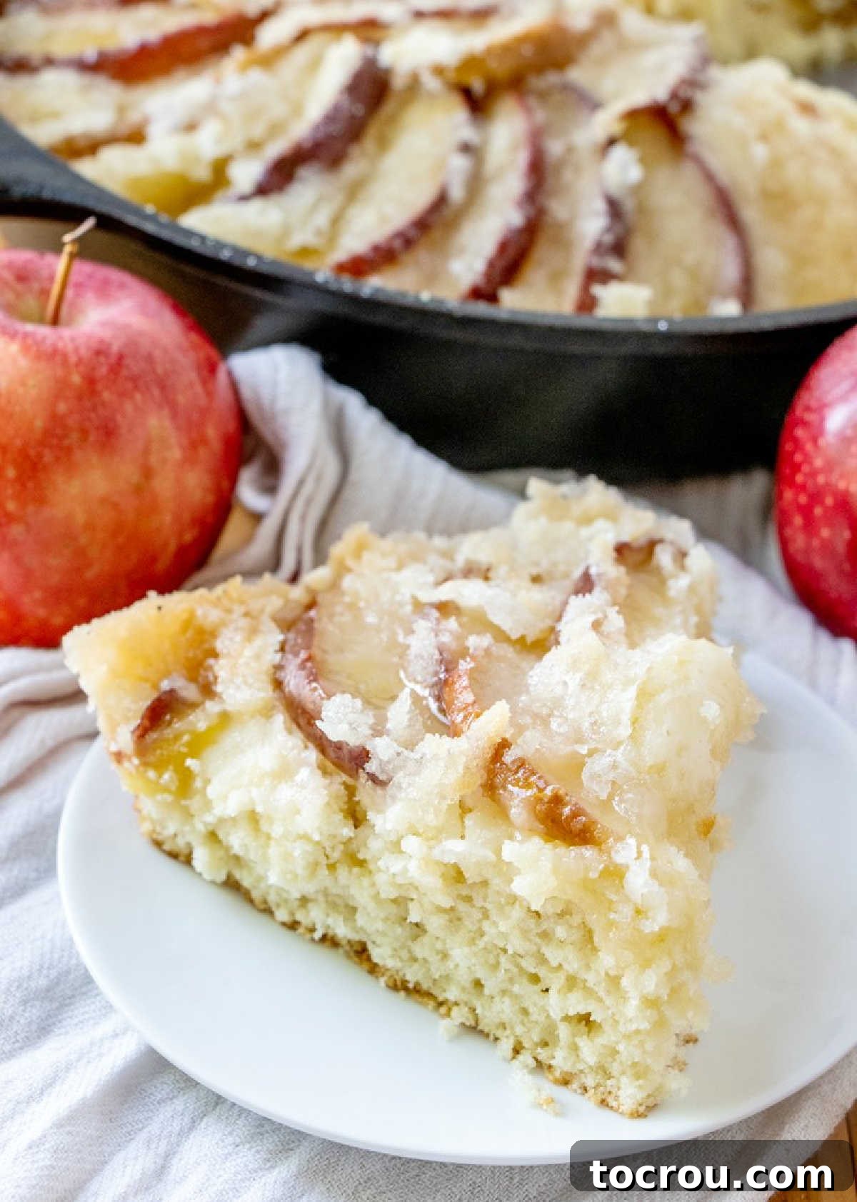 Indulge in a slice of this family heirloom Dutch Apple Cake, featuring baked apple slices and a generous streusel topping. Slice of dutch apple cake with fresh apple slices and streusel on top, ready to eat.
