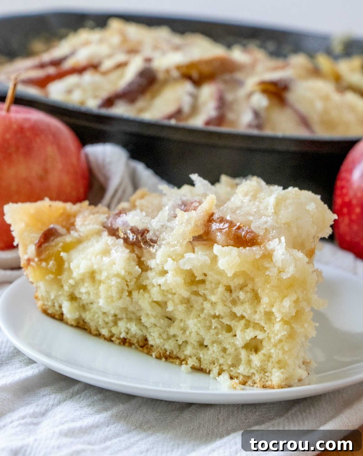 A close-up view of a perfectly baked slice of Dutch Apple Cake, highlighting the texture. looking across a slice of old fashioned dutch apple cake showing shortcake like cake texture and golden buttery streusel on top.