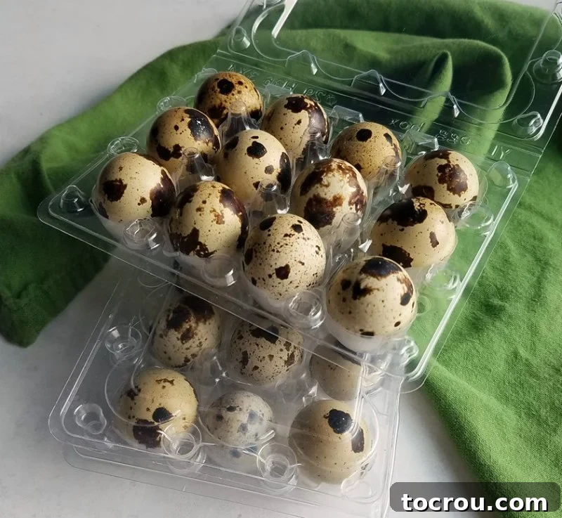 Containers of spotted quail eggs ready for cooking.