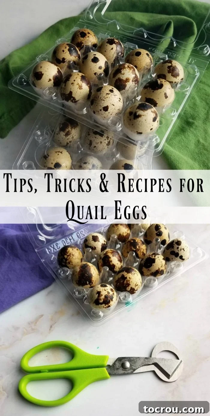 A collage of various quail egg dishes and images, inviting readers to explore delicious recipes.