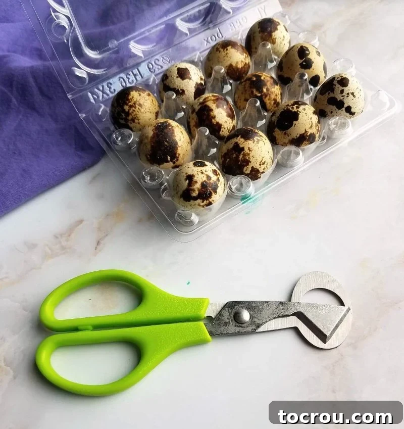 Carton of spotted quail eggs with a pair of quail egg scissors, ready to be prepared.
