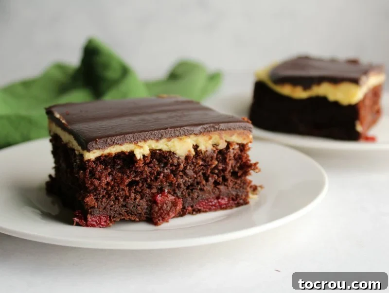 Decadent Black Forest Sheet Cake 2 Two dessert plates, each with a slice of Black Forest Sheet Cake, showcasing moist chocolate cake, creamy vanilla German buttercream, and a dark chocolate ganache topping.
