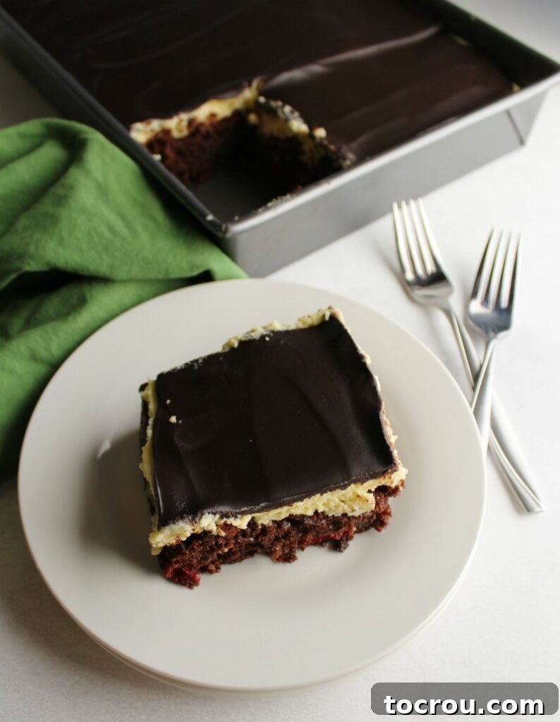 Decadent Black Forest Sheet Cake 4 First slice of Black Forest cake on a plate, revealing the moist chocolate cake, creamy vanilla frosting, and rich chocolate ganache topping.