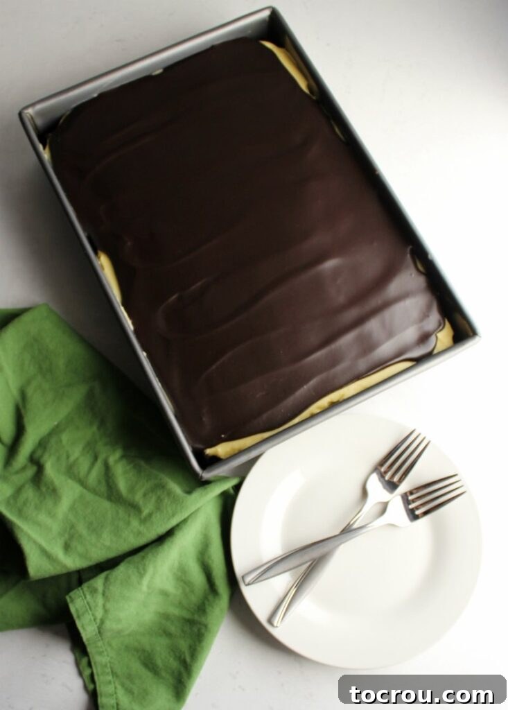 Decadent Black Forest Sheet Cake 9 Whole sheet cake topped with shiny chocolate ganache, perfectly set and ready to be served.