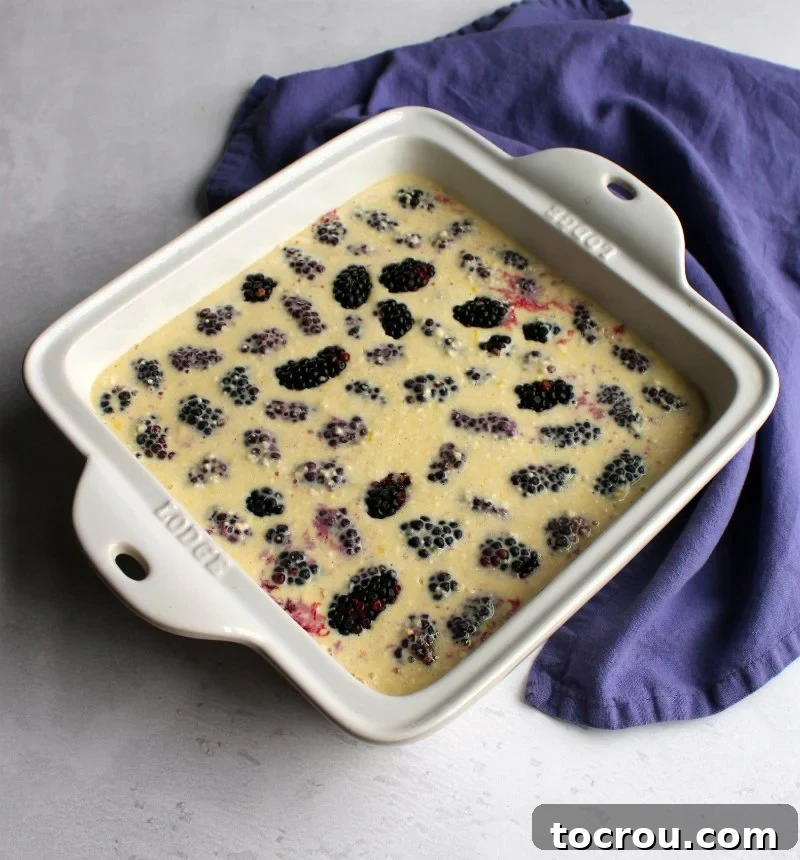 Clafoutis Batter with Blackberries Blackberries suspended in a creamy clafoutis batter, ready for baking.