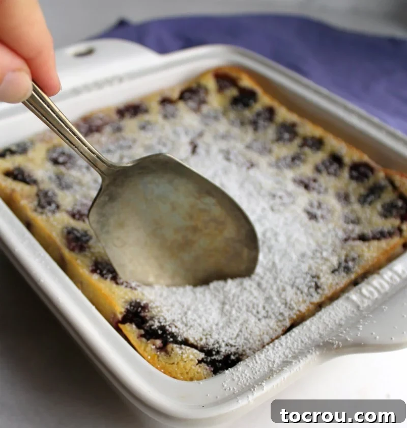 Dusted Blackberry Clafoutis A berry spoon scooping into a golden blackberry clafoutis dusted with powdered sugar.