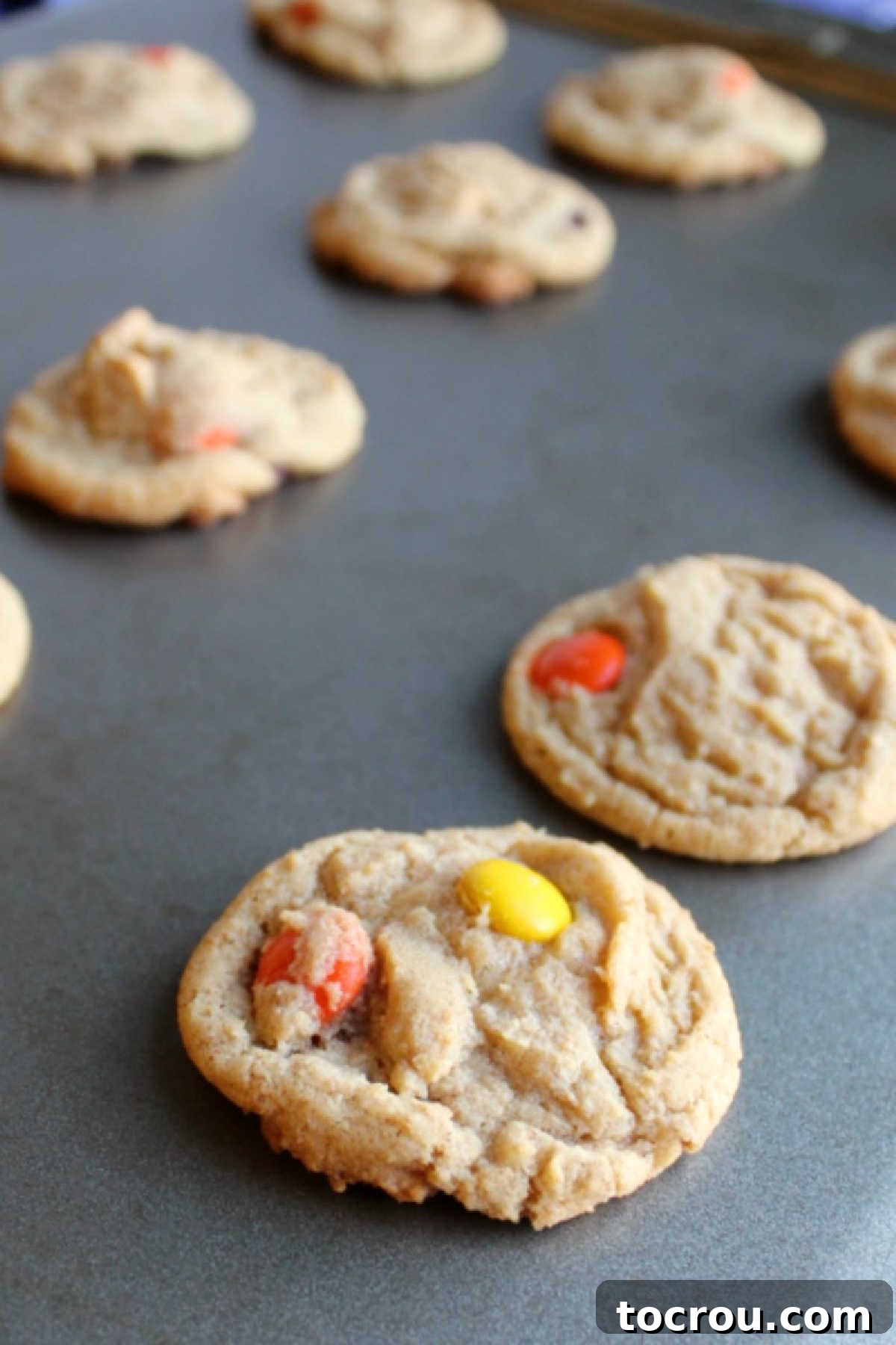 A baking sheet laden with freshly baked triple peanut butter cookies, golden brown and still warm, adorned with melted peanut butter chips and vibrant Reese's Pieces, cooling to perfection.