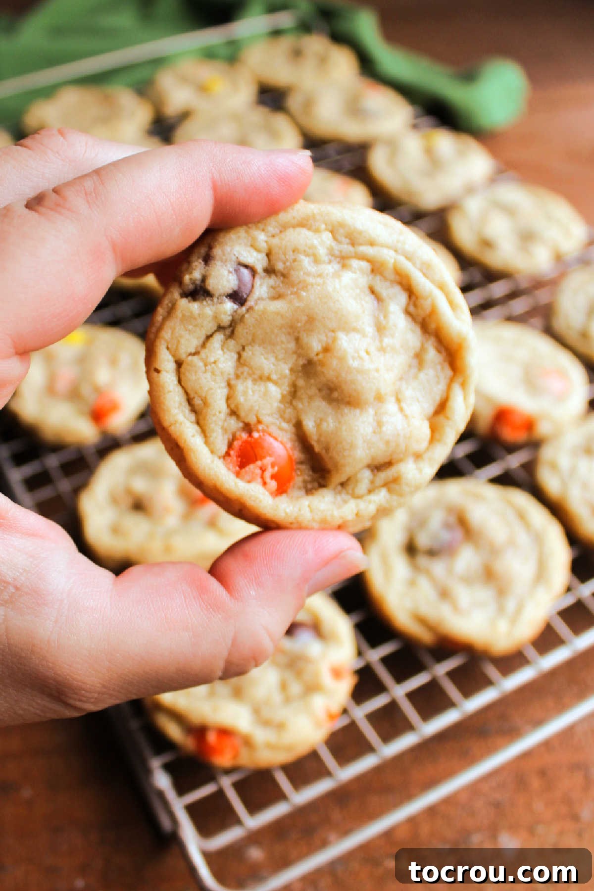 A hand gently holds a warm, freshly baked triple peanut butter cookie, rich with visible peanut butter chips and candies. In the soft-focus background, a wire cooling rack holds more delicious cookies, creating an inviting scene of homemade baking.