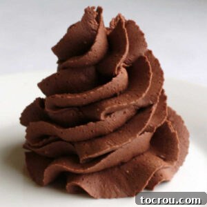 Swirl of super chocolaty darker in color chocolate buttercream frosting, perfectly piped.