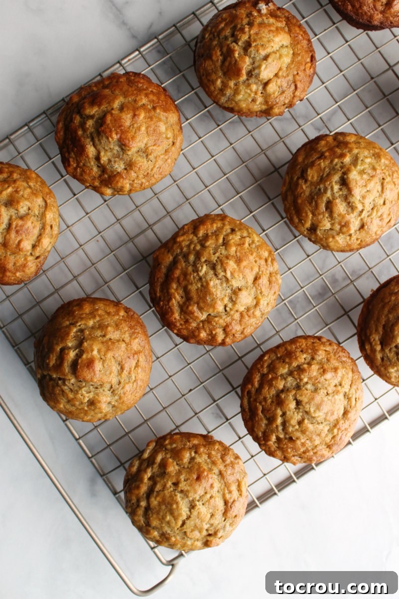 A close-up, overhead shot of several banana oatmeal muffins resting on a wire cooling rack, showcasing their appealing golden-brown tops and wholesome texture.