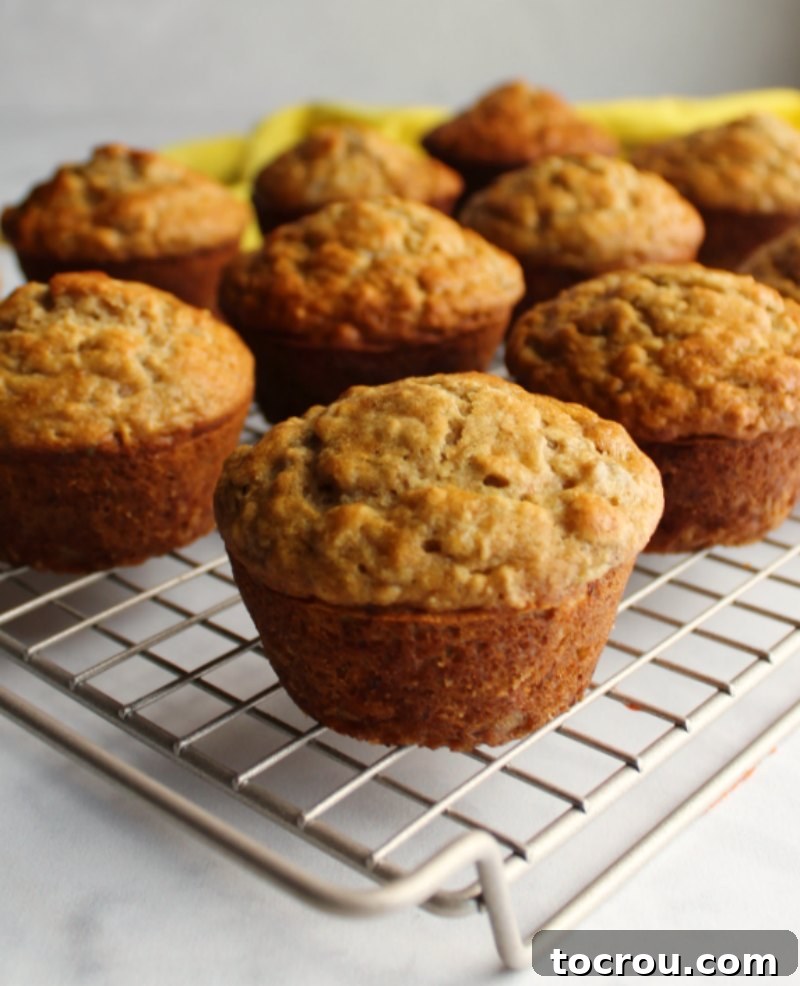 A collection of warm banana oatmeal muffins displayed on a wire cooling rack, invitingly arranged.