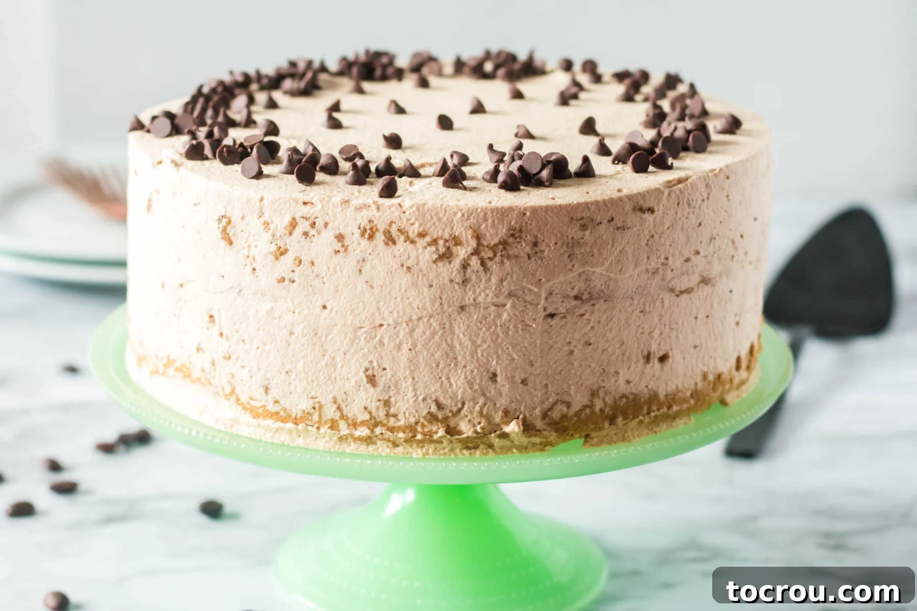 Elegant Coffee and Cream Sponge Cake Whole coffee sponge layer cake with mocha whipped cream garnished with mini chocolate chips, ready to slice and serve on an elegant white cake stand.
