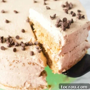 Coffee and Cream Sponge Cake First slice of coffee and cream sponge cake being removed from the cake with a cake server.