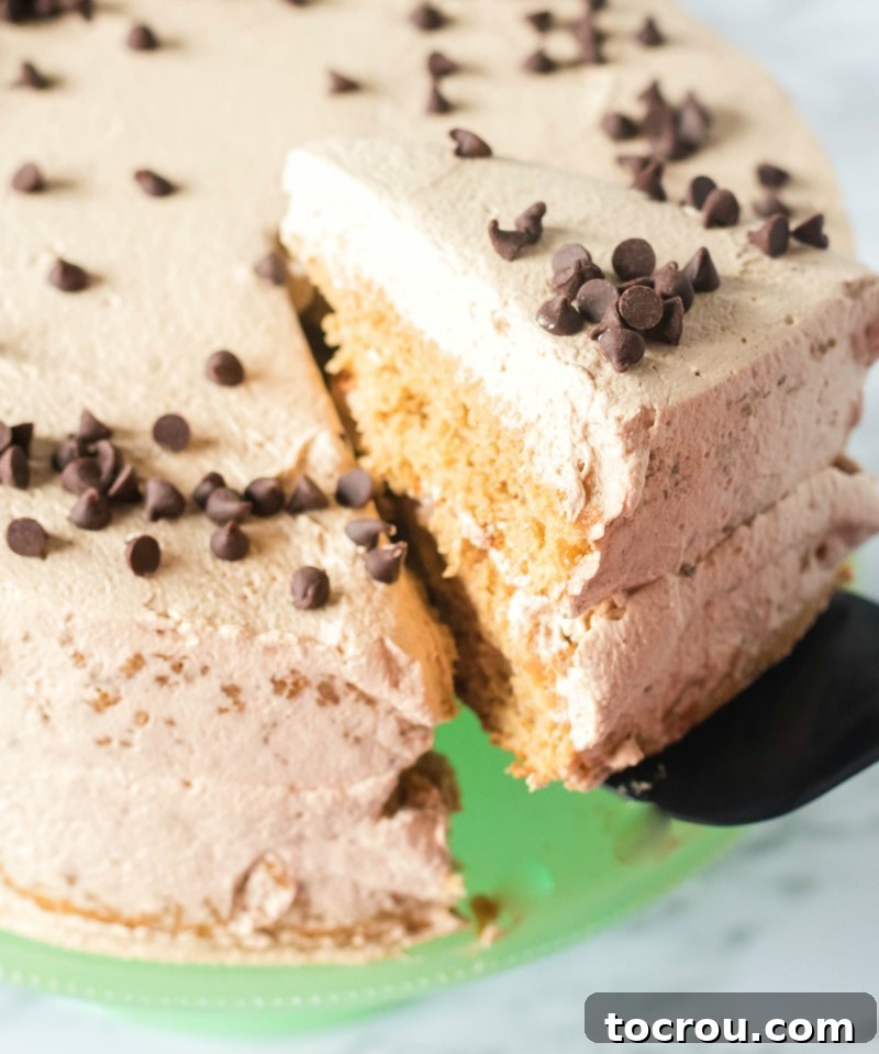 Serving the First Slice First slice of coffee and cream sponge cake being carefully removed from the cake with a cake server.