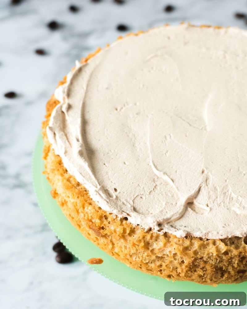 Frosted Coffee Sponge Layer A layer of freshly baked coffee sponge cake, lightly spread with creamy mocha whipped cream frosting, awaiting the next cake layer.