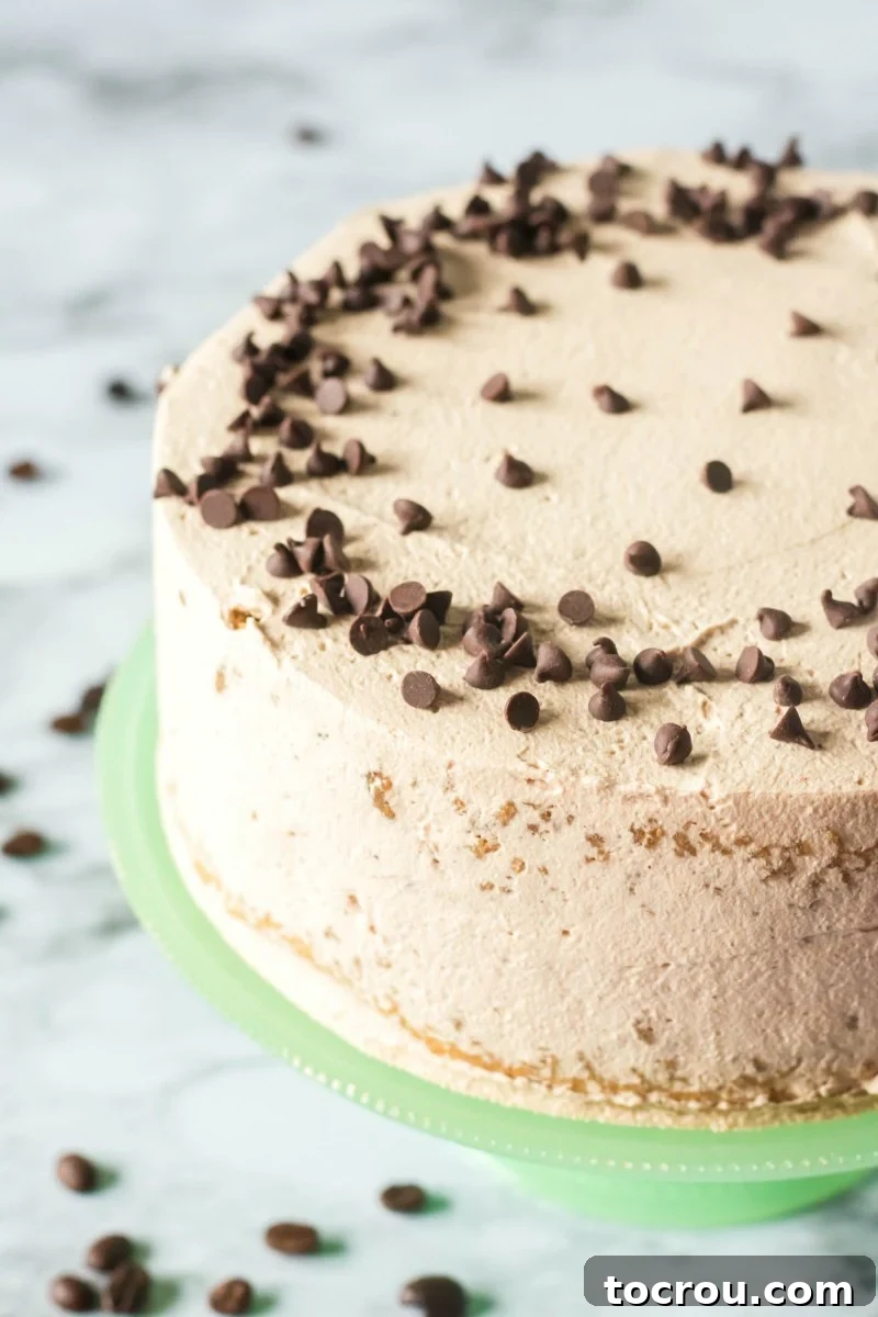 Decorated Coffee Sponge Cake Side and top view of a perfectly frosted coffee and cream sponge cake, generously sprinkled with mini chocolate chips for an added touch of charm.