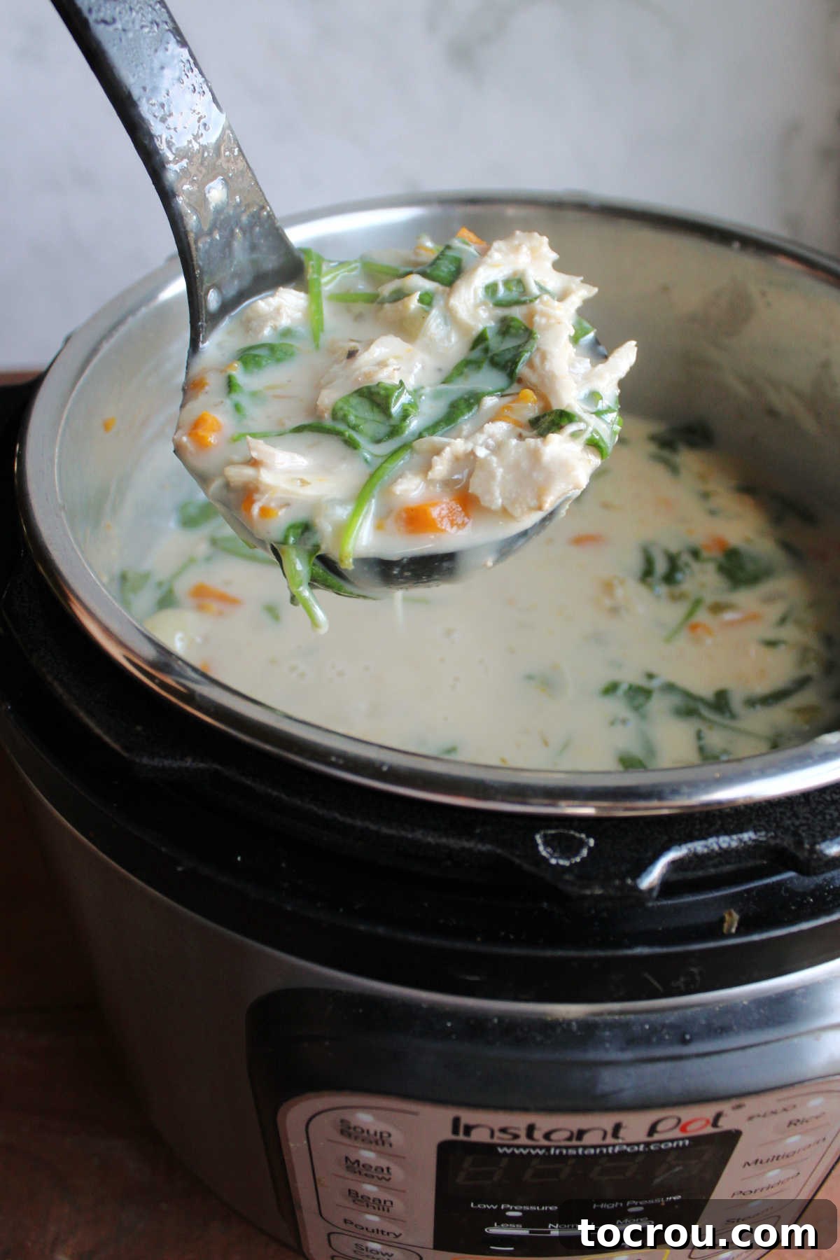 Ladle lifting out finished chicken gnocchi soup showing creamy texture with lots of chunks of chicken and veggies inside.