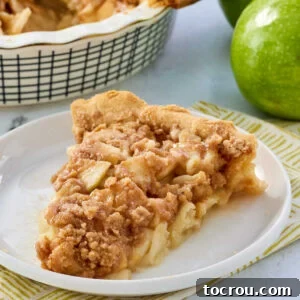 Piece of old fashioned dutch apple pie with buttery crumb topping and softened apple slices in a pastry crust, ready to eat.