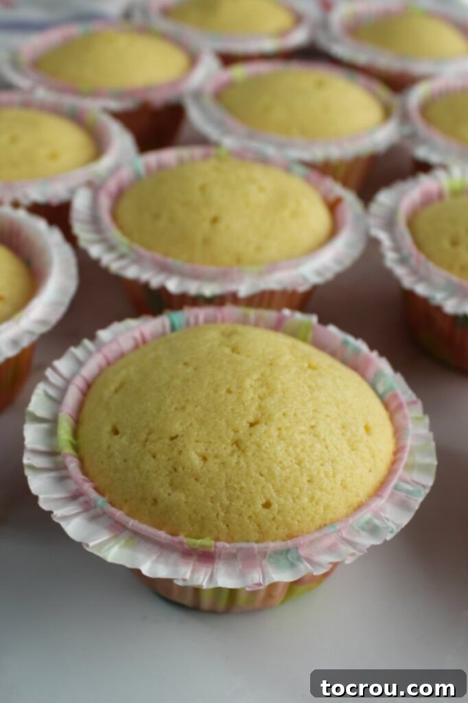 freshly baked butter vanilla cupcakes nestled in delicate frilly liners on a cooling rack.