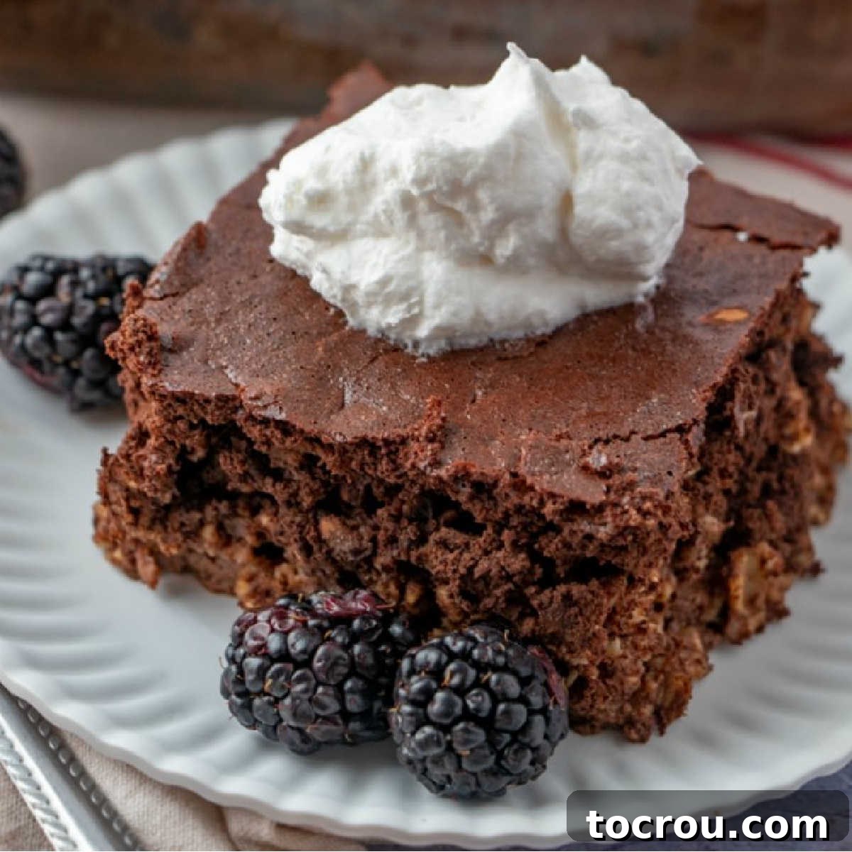 Brownie Baked Oatmeal with Berries and Whipped Cream close up of a piece of chocolate brownie baked oatmeal served with blackberries and whipped cream.