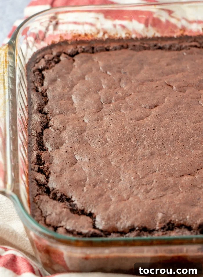 Freshly Baked Brownie Oatmeal freshly baked pan of chocolate baked oatmeal, ready to serve.