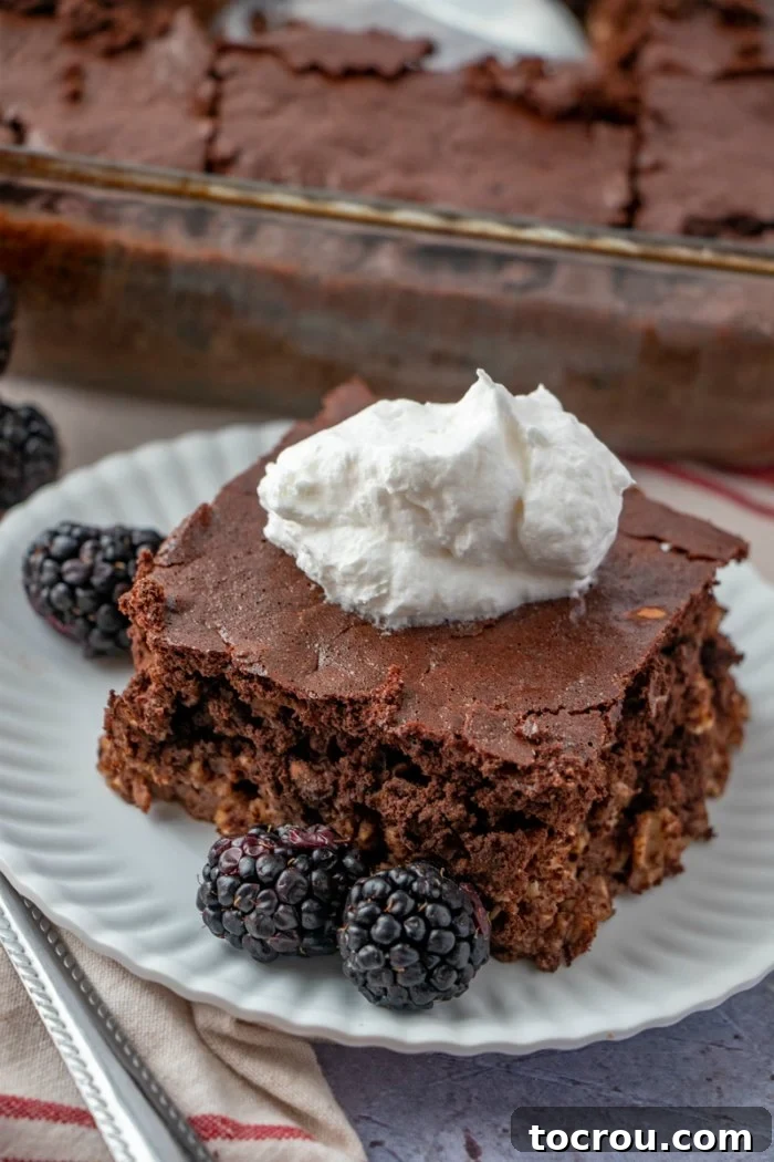 Brownie Oatmeal Serving piece of brownie baked oatmeal on plate with pan of remaining chocolate oatmeal in the background.
