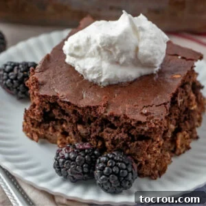 close up of a piece of chocolate brownie baked oatmeal served with blackberries and whipped cream.