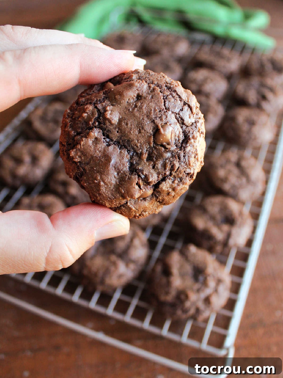 One-Bowl Brownie Cookies 8 A hand holding a freshly baked brownie mix cookie with a characteristic crackled chocolate top, with more cookies cooling on a wire rack in the background.