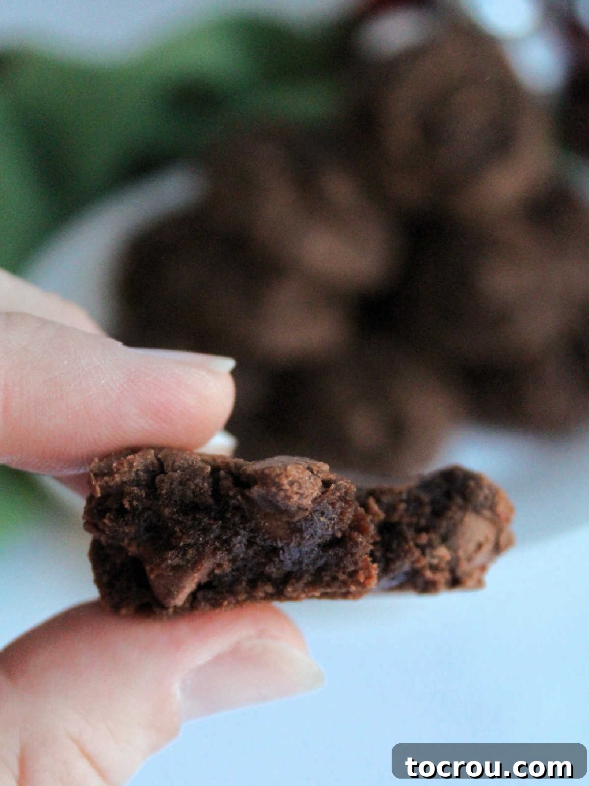 One-Bowl Brownie Cookies 9 A hand presenting half of a freshly baked brownie mix cookie, revealing its incredibly rich, fudgy interior and melted chocolate chips.