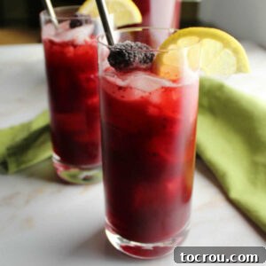 Glasses of dark purple lemonade with lots of pureed blackberries and ice inside topped with frozen blackberries and a slice of lemon.