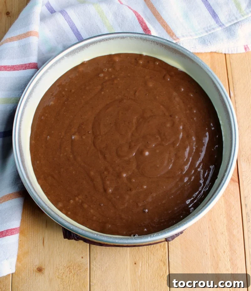 Chocolate Velvet Indulgence 3 Smooth, dark chocolate mayonnaise cake batter evenly spread in a round baking pan, prepared and ready to be placed in the oven.