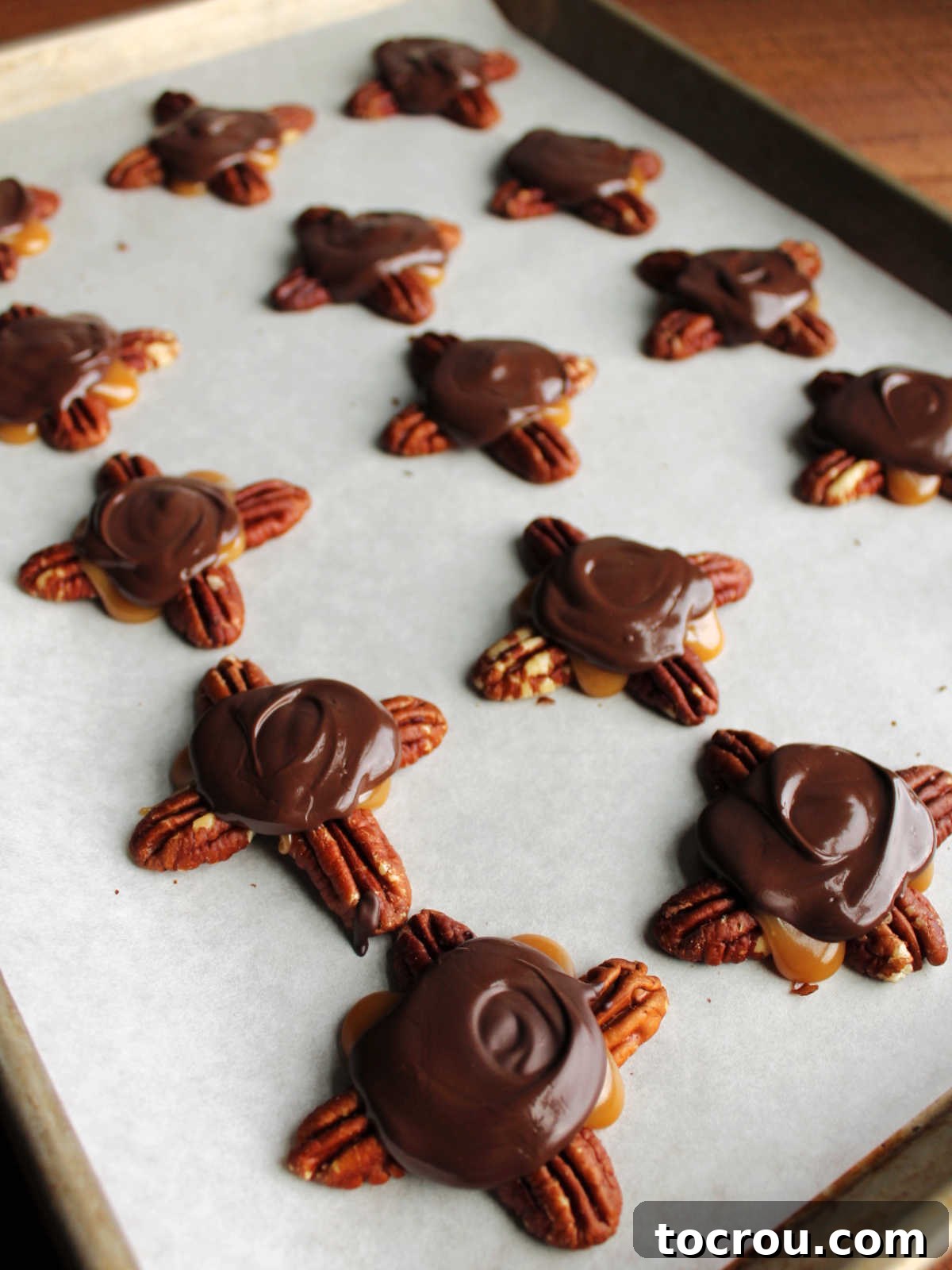 Chocolate topped turtles with pecans and homemade caramel setting up on parchment lined cookie sheet.