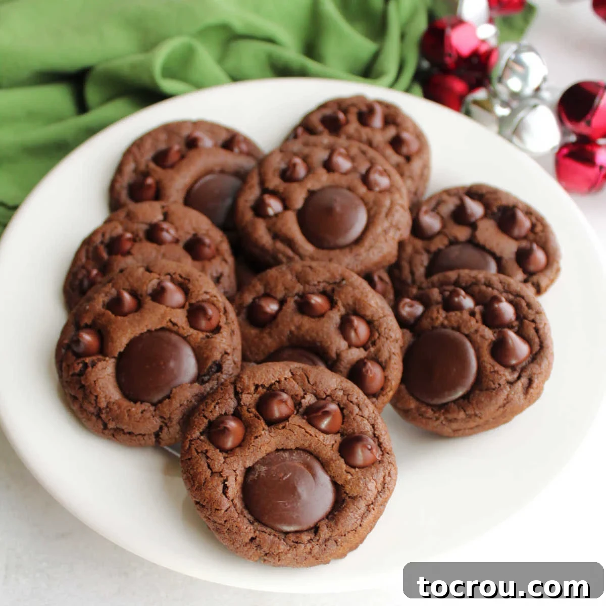 Fudgy Paw Print Double Chocolate Cookies 2 Plate with chocolate paw print cookies featuring rich chocolate cookie base topped with chocolate chips and chocolate candy to look like a paw print.