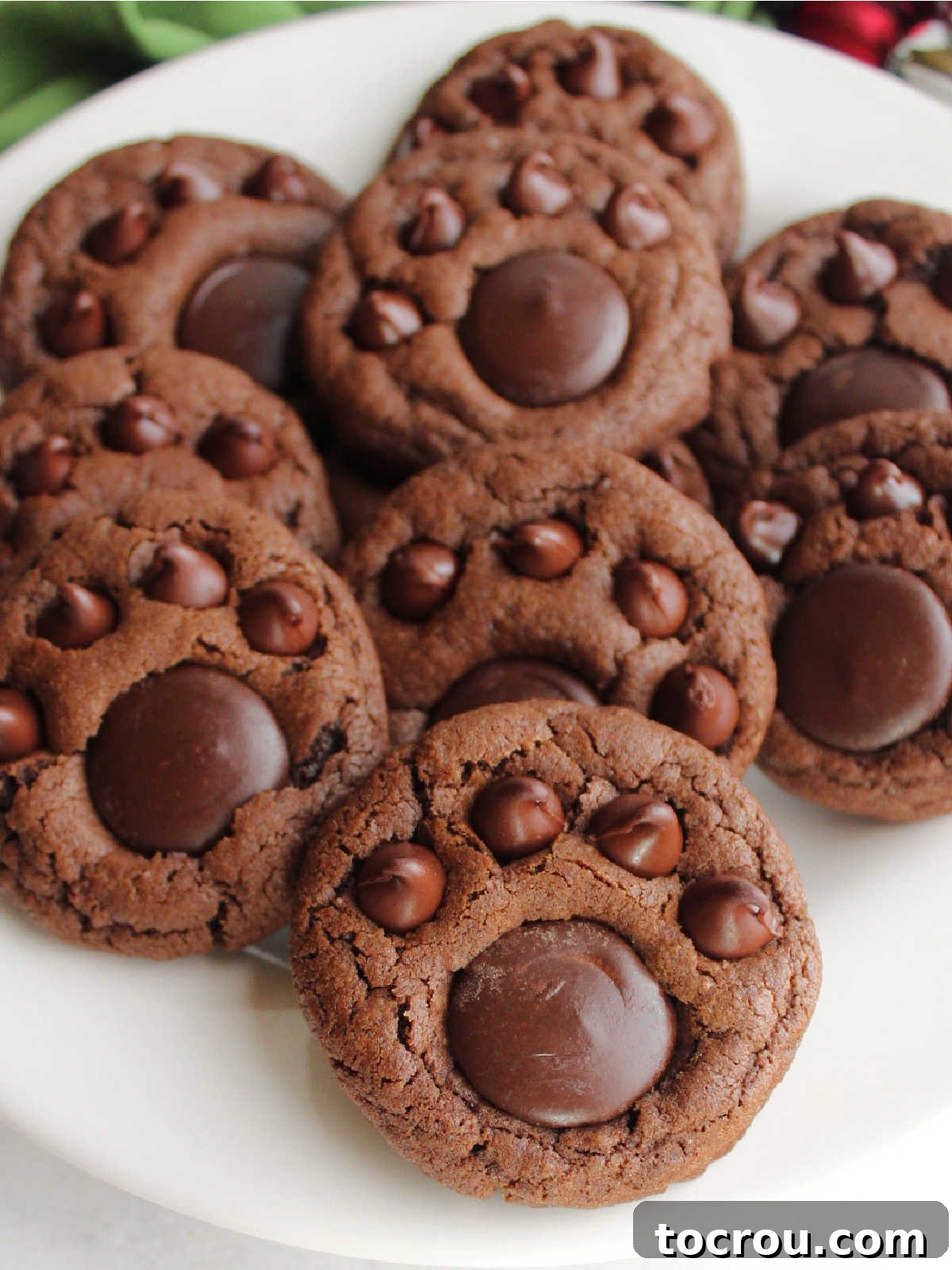 Fudgy Paw Print Double Chocolate Cookies 12 Closeup of plate of double chocolate paw print cookies, ready to eat.