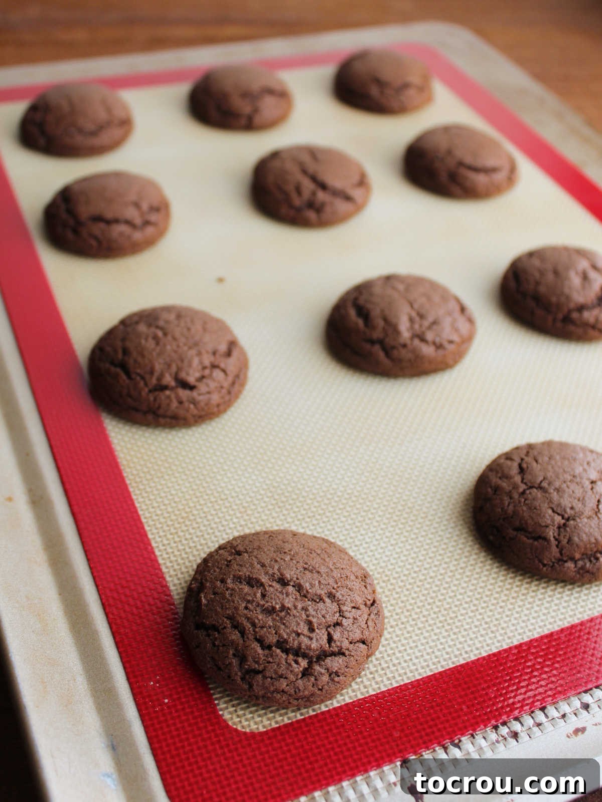 Fudgy Paw Print Double Chocolate Cookies 6 Freshly baked chocolate cookies on pan, showing fluffy texture and round shape.