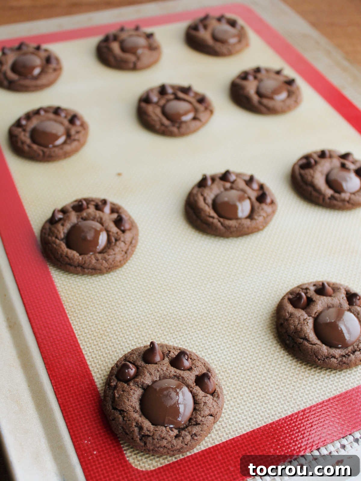 Fudgy Paw Print Double Chocolate Cookies 8 Cookies with four chocolate chips pressed in to make the toes for the paw prints.