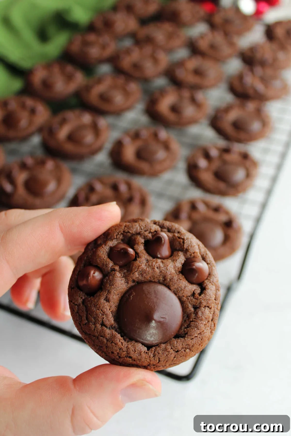 Fudgy Paw Print Double Chocolate Cookies 10 Hand holding cooled chocolate paw print cookie with cooling rack and more cookies in the background.